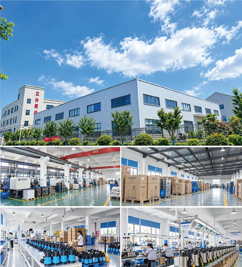 Ningbo Lisheng Pump manufacturing and production facilities